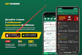 كل ما تحتاج لمعرفته حول betwinner كل ما تحتاج لمعرفته حول betwinner
